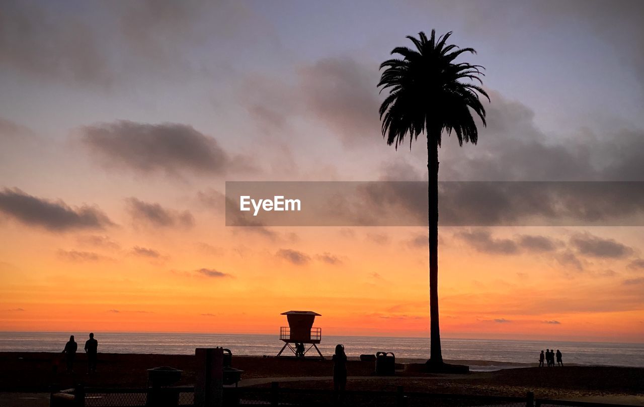 SILHOUETTE PALM TREES ON BEACH DURING SUNSET