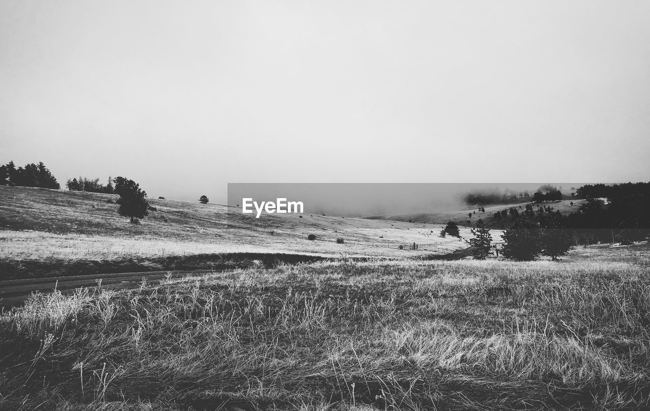 VIEW OF FIELD AGAINST CLEAR SKY