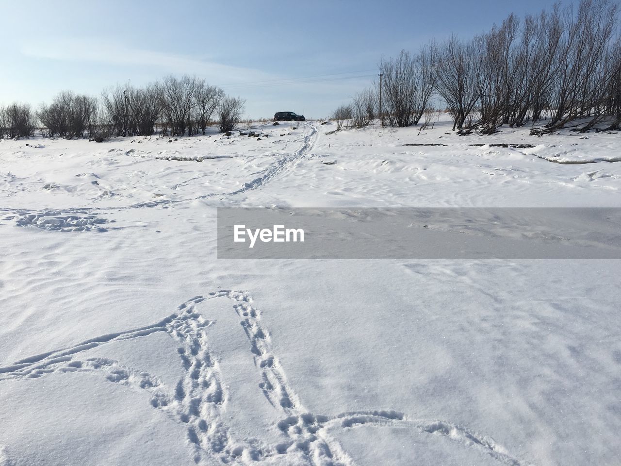 SNOW COVERED LAND AND TREES AGAINST SKY