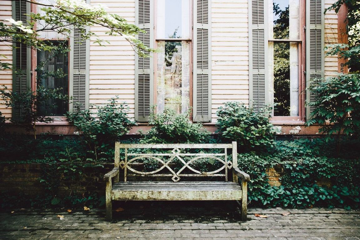 POTTED PLANTS IN YARD