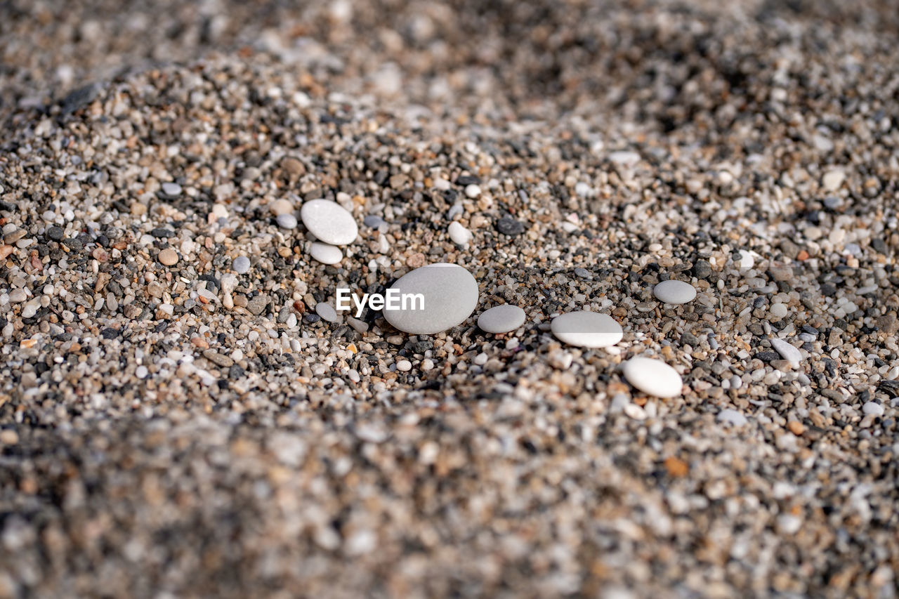 sand, close-up, soil, land, beach, no people, gravel, nature, pebble, stone, rock, day, selective focus, asphalt, high angle view, outdoors, macro photography, textured, shell, sunlight, seashell, abundance, large group of objects, backgrounds