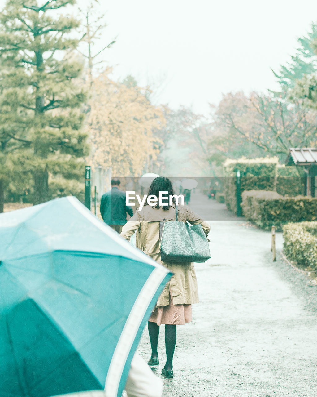 REAR VIEW OF WOMAN WITH UMBRELLA WALKING ON ROAD