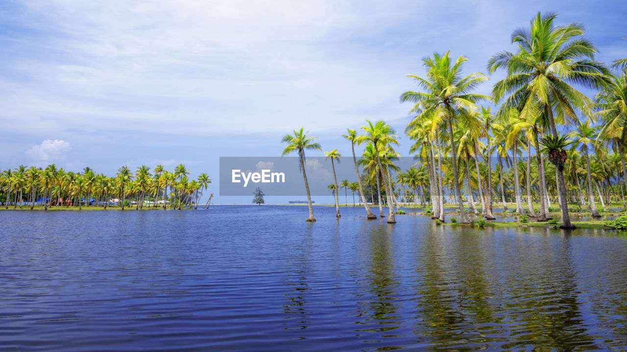 Scenic view of tropical island with coconut palm trees in a beautiful day