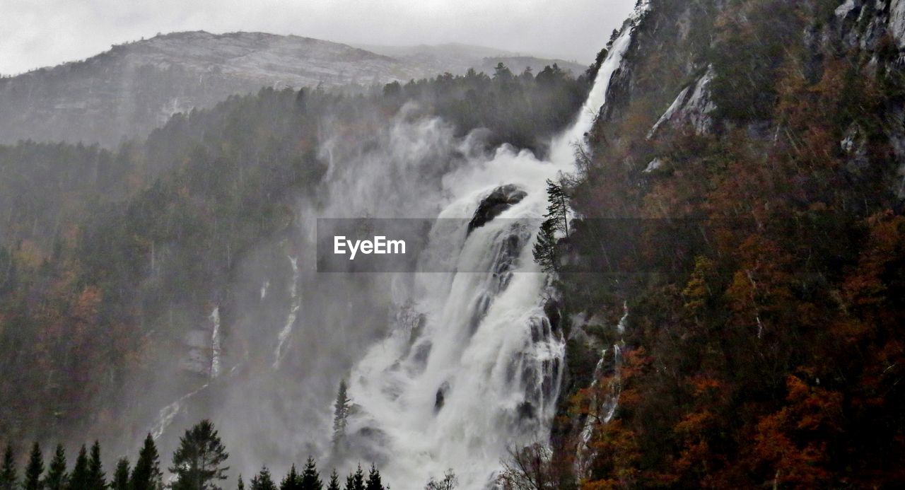 VIEW OF WATERFALL IN FOREST