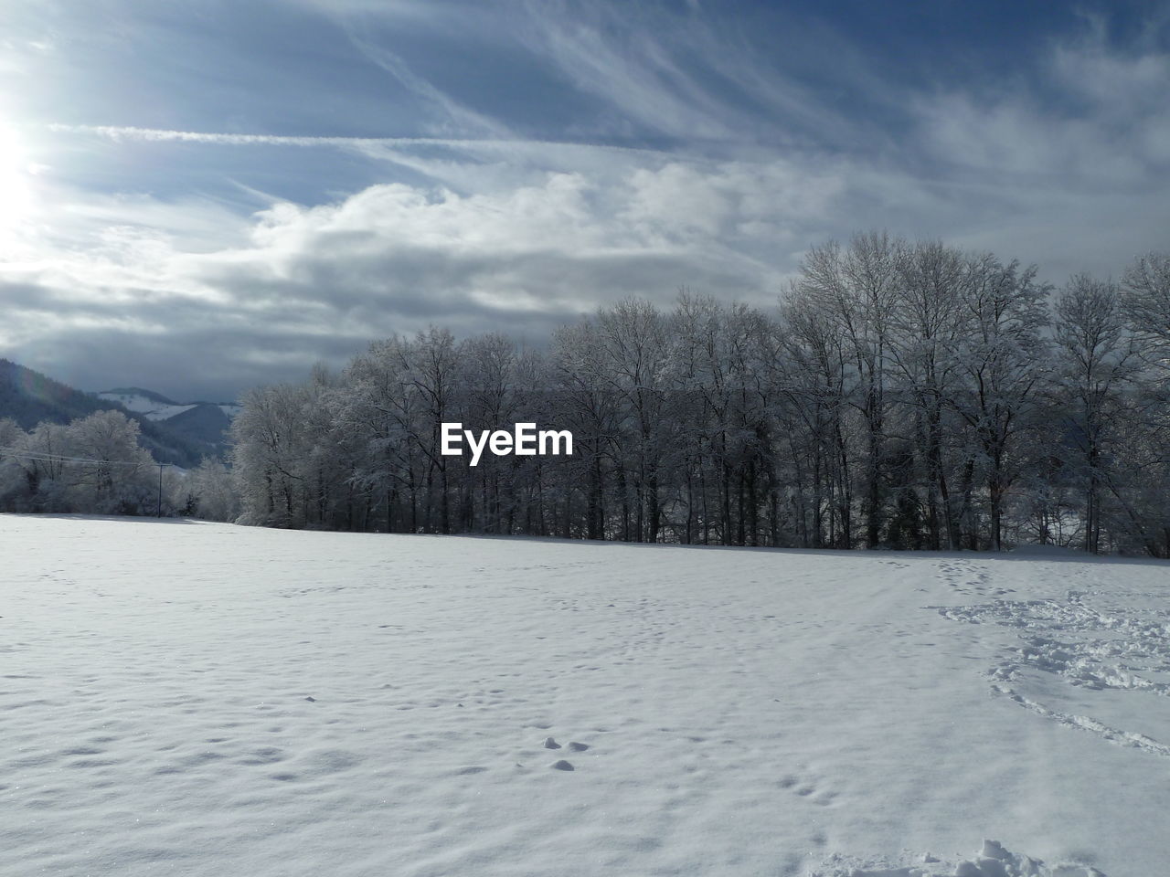 SCENIC VIEW OF SNOW COVERED FIELD