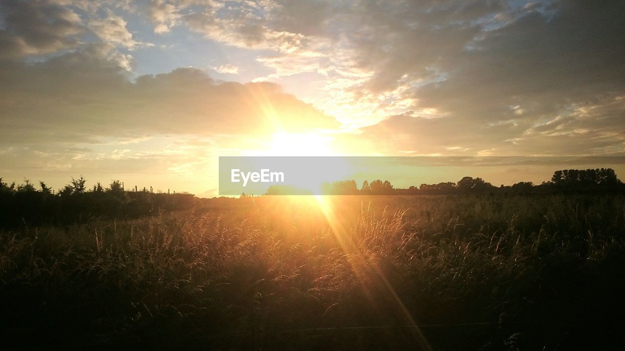 Scenic view of landscape against sky during sunset