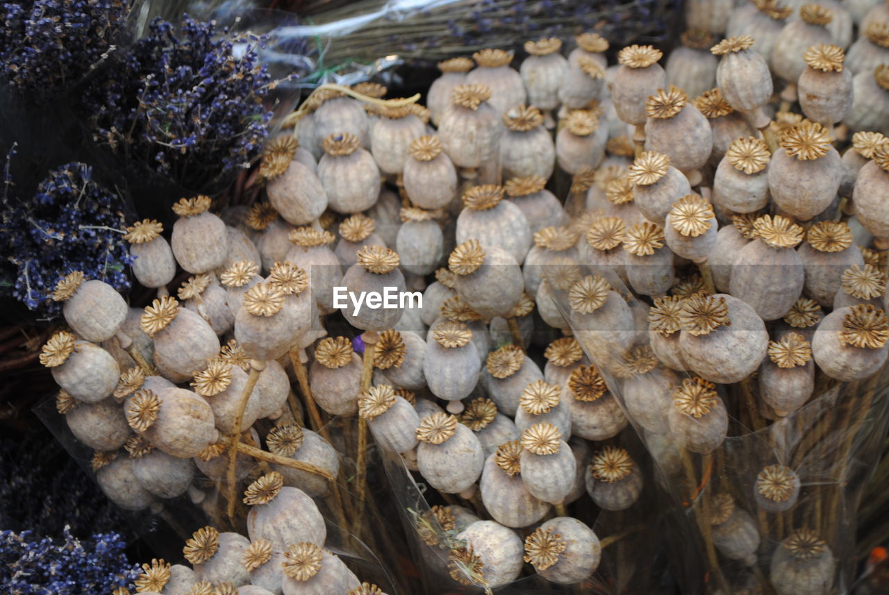 High angle view of lotus pods for sale at market stall