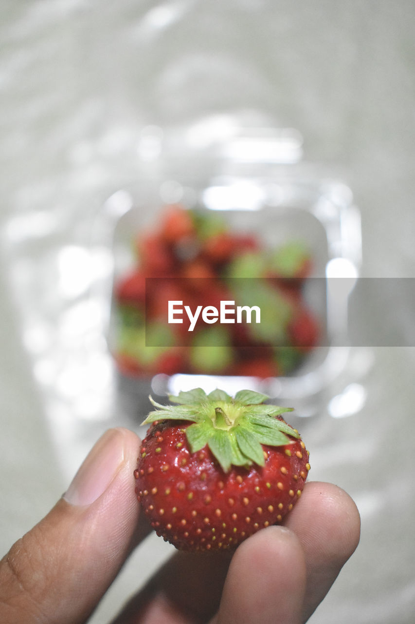 strawberry, hand, food, food and drink, fruit, one person, holding, healthy eating, berry, produce, freshness, wellbeing, plant, focus on foreground, red, personal perspective, lifestyles, close-up, adult, nature, indoors, women