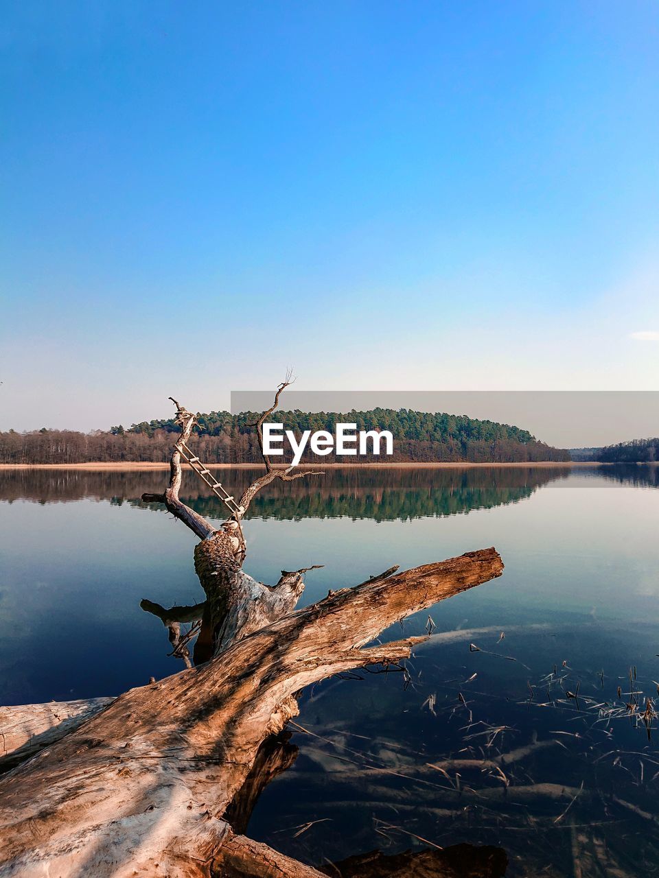 Scenic view of lake against clear blue sky