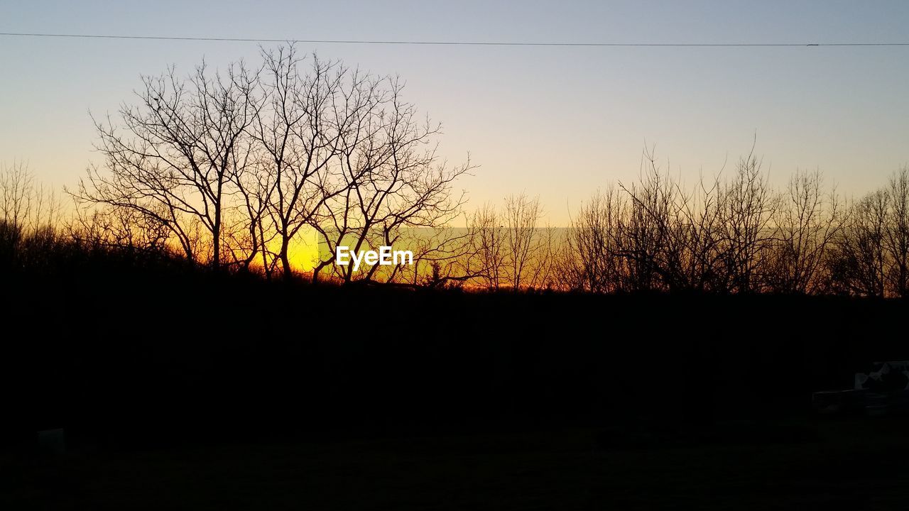 SILHOUETTE TREES ON FIELD AGAINST SKY DURING SUNSET