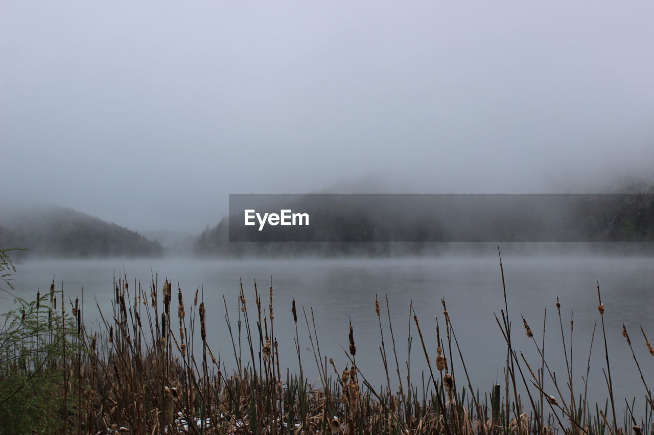 LAKE IN FOGGY WEATHER