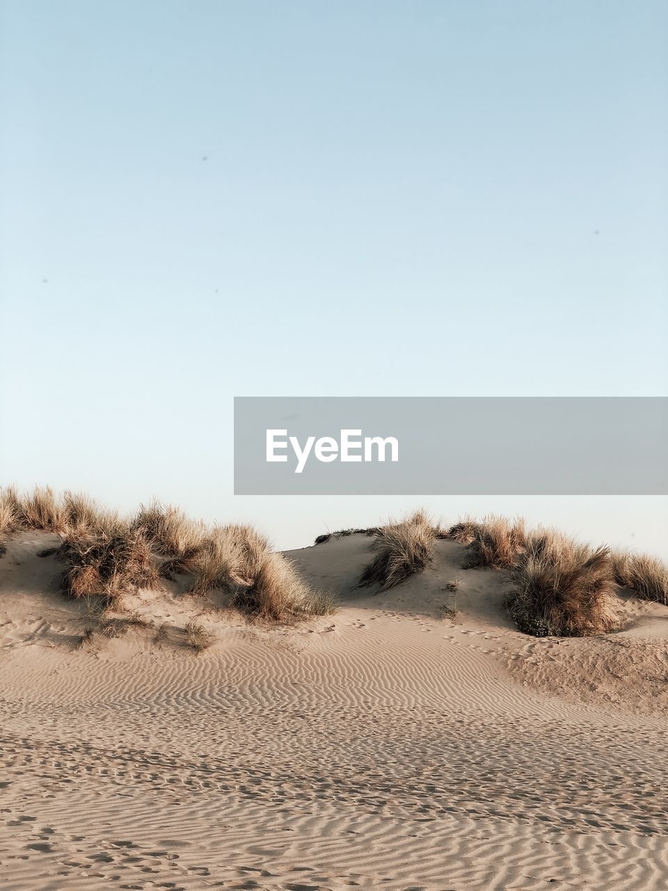 SCENIC VIEW OF SAND DUNES AGAINST SKY