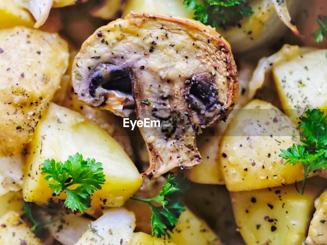 Close-up of food served in plate