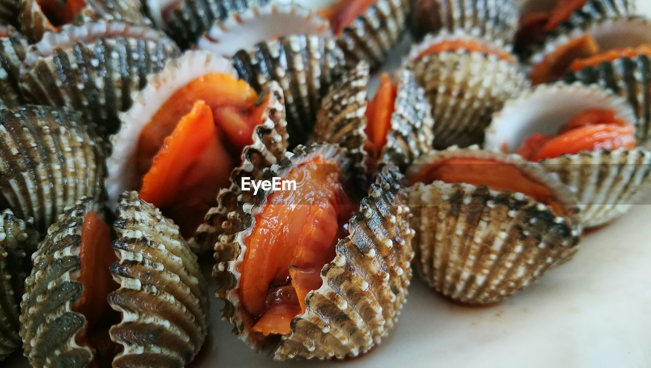 Close-up of cockles