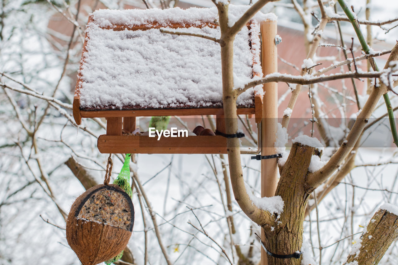 Snow covered birdhouse on bare tree