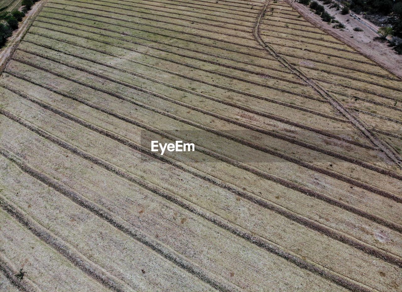 HIGH ANGLE VIEW OF AGRICULTURAL LAND