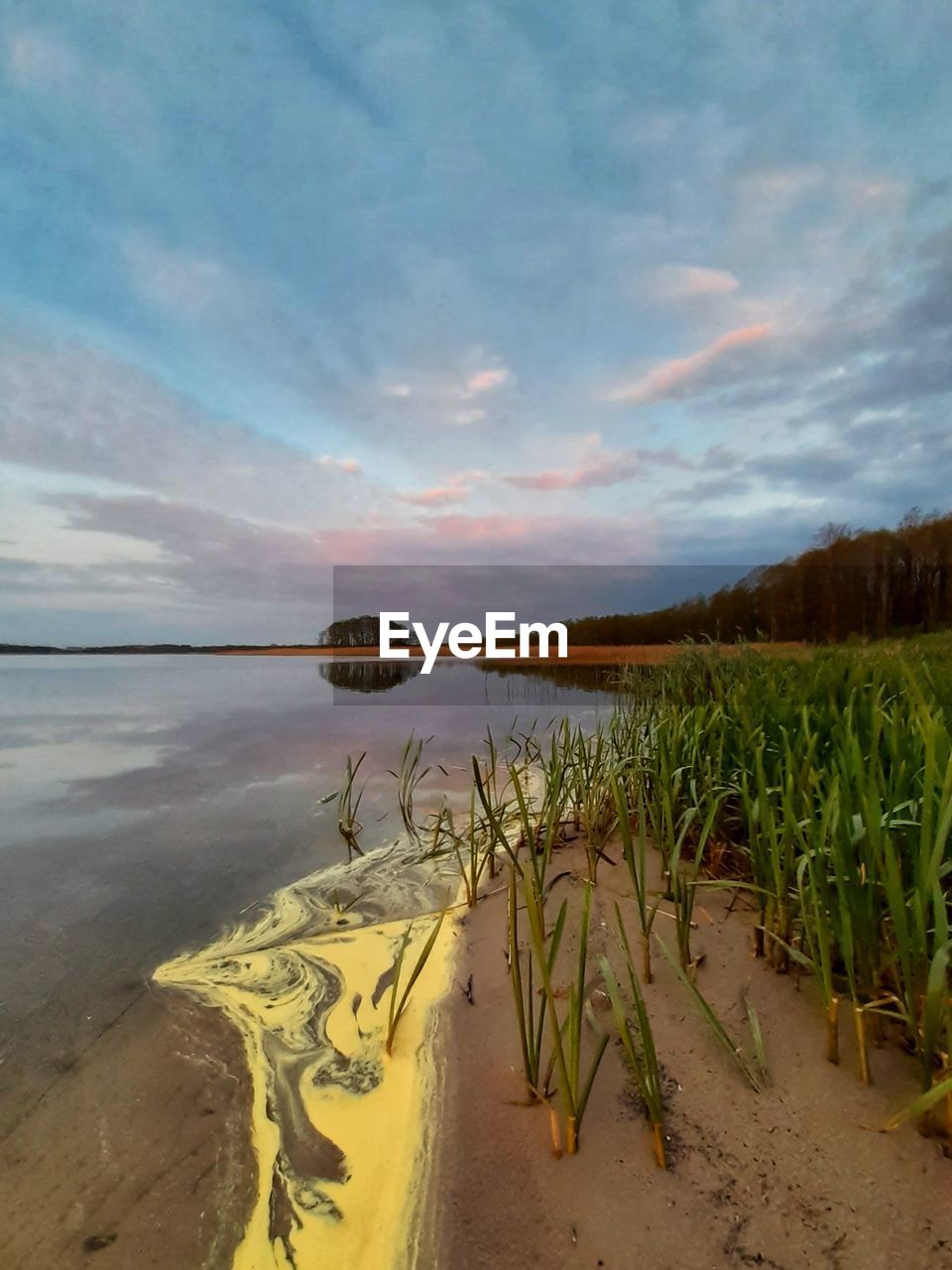 sky, water, land, shore, coast, nature, cloud, scenics - nature, beauty in nature, beach, sea, landscape, natural environment, environment, tranquility, plant, sand, body of water, no people, tranquil scene, morning, outdoors, ocean, horizon, travel destinations, travel, bay, day, non-urban scene, sunlight