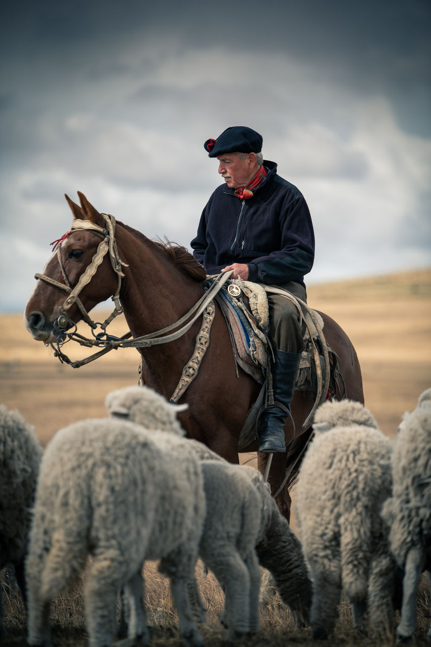 Man sitting on horse against sky