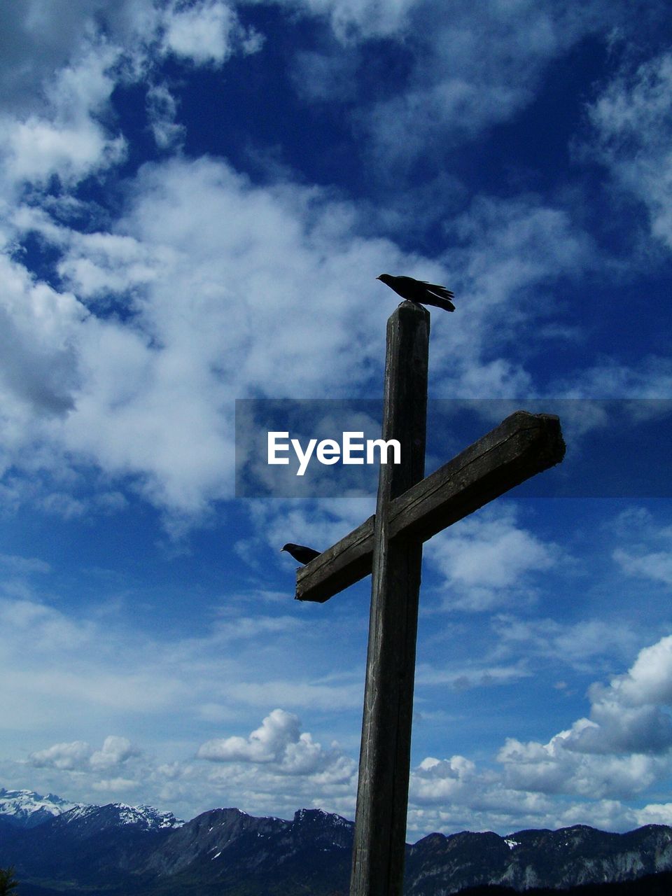 LOW ANGLE VIEW OF SILHOUETTE BIRD PERCHING ON CROSS AGAINST SKY