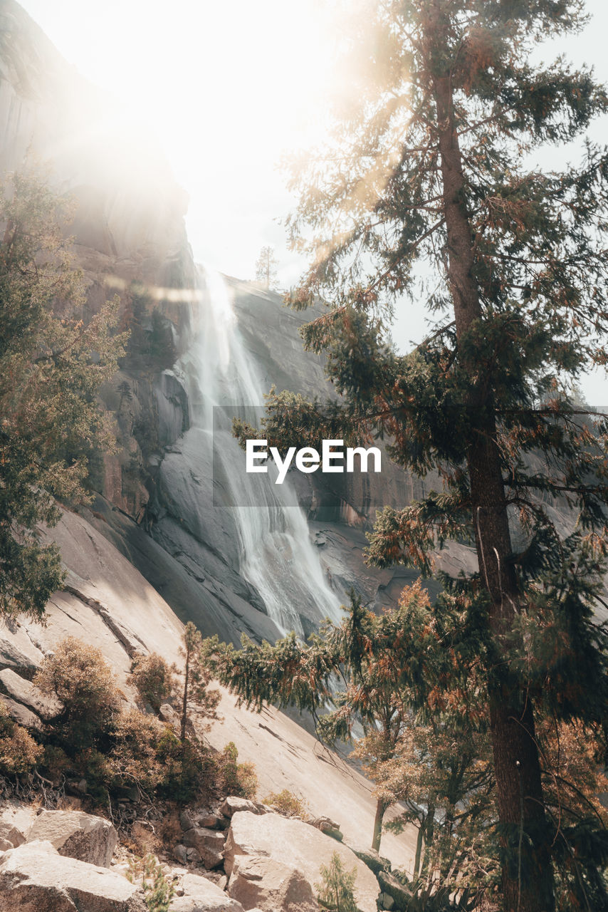 Nevada fall through trees against backlight creating sun flare