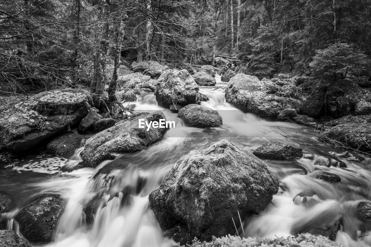 Stream flowing through rocks in forest