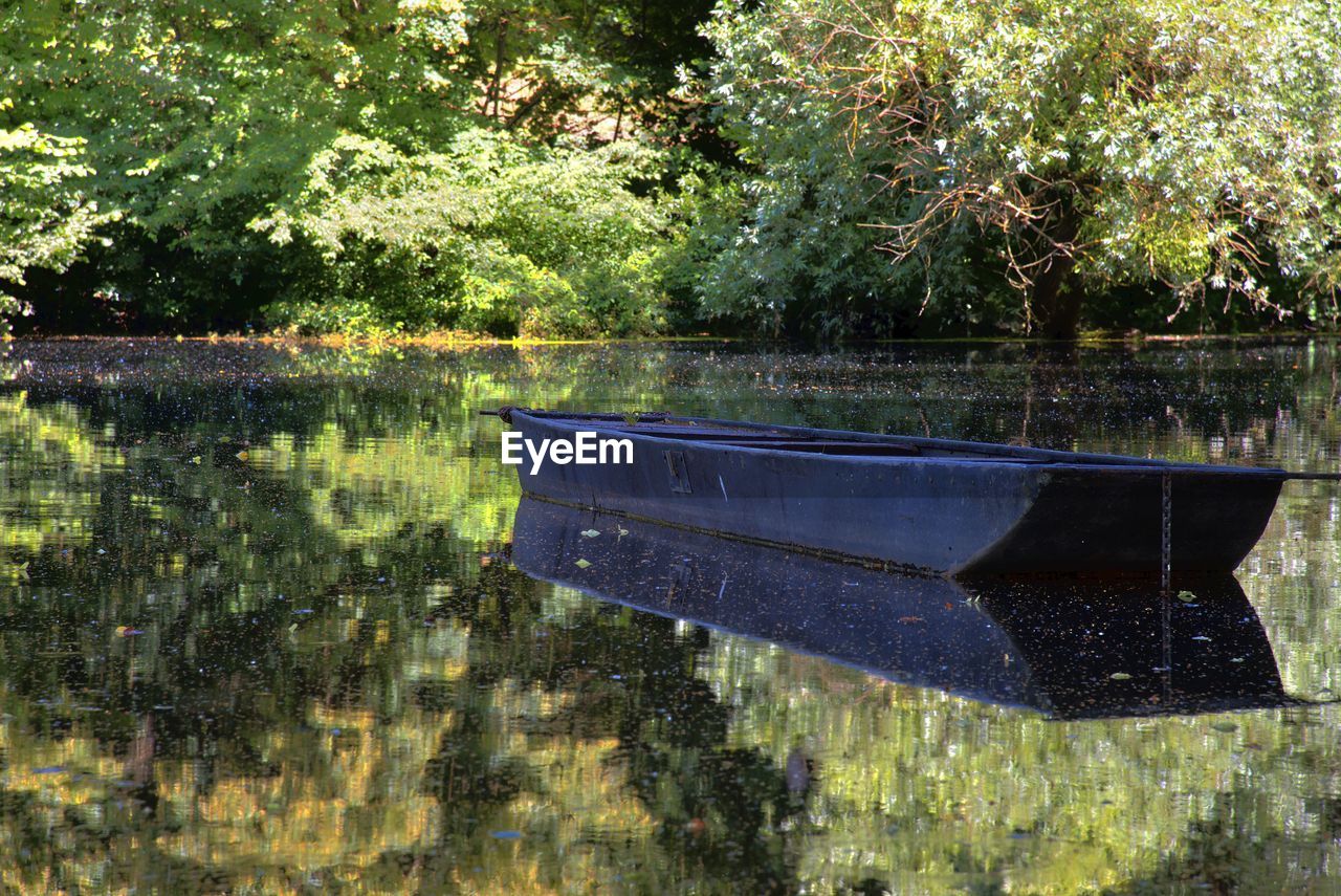 REFLECTION OF TREES ON LAKE