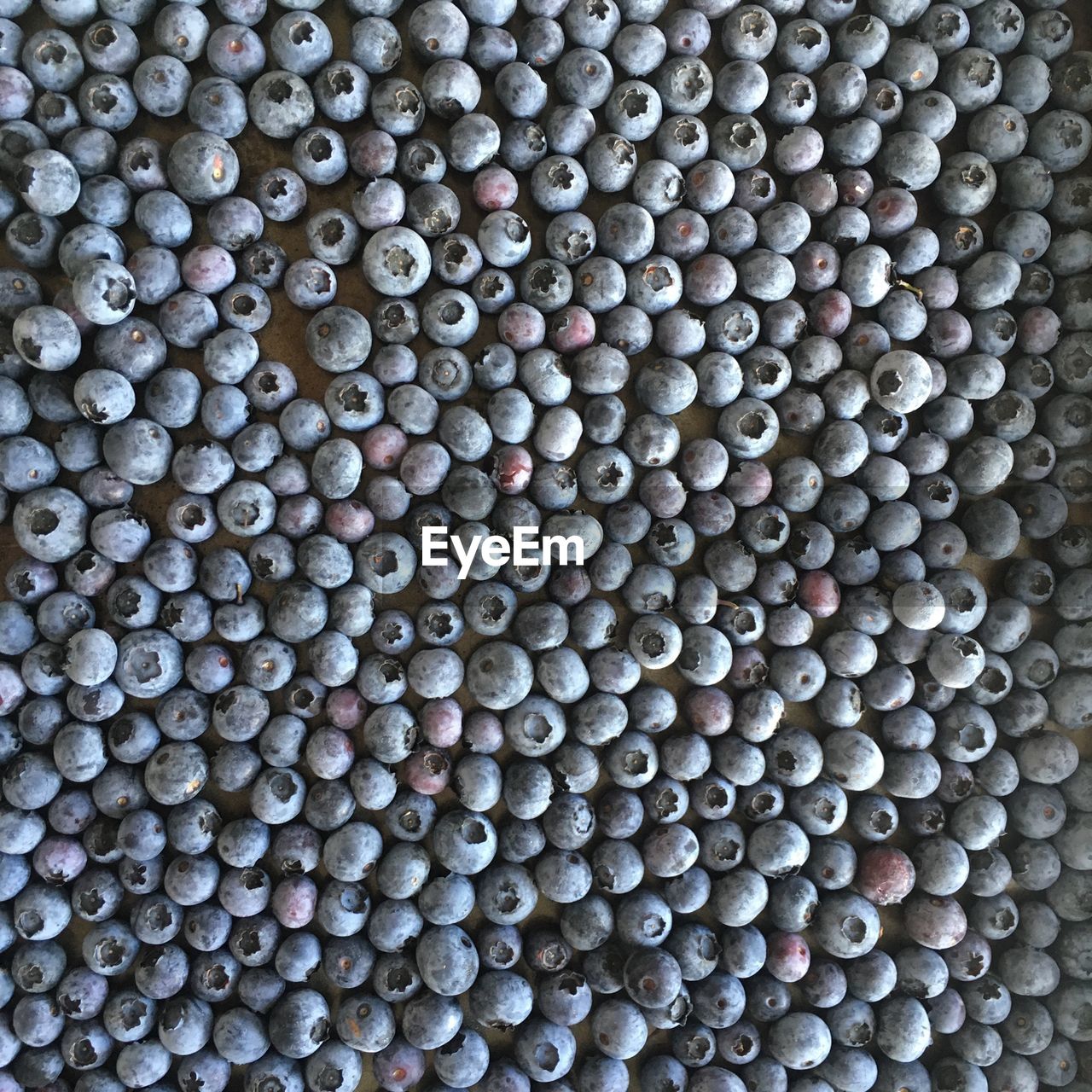 Full frame shot of blueberries