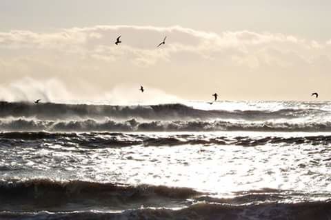 WAVES FLYING OVER SEA