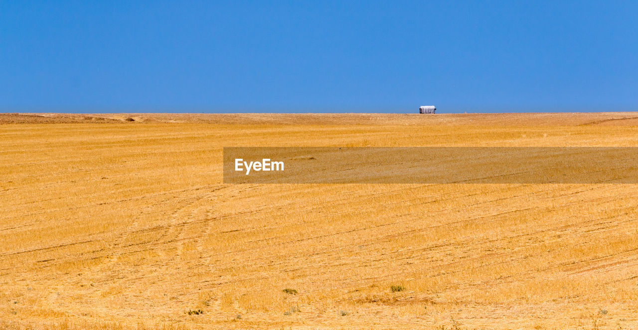 Scenic view of field against clear blue sky