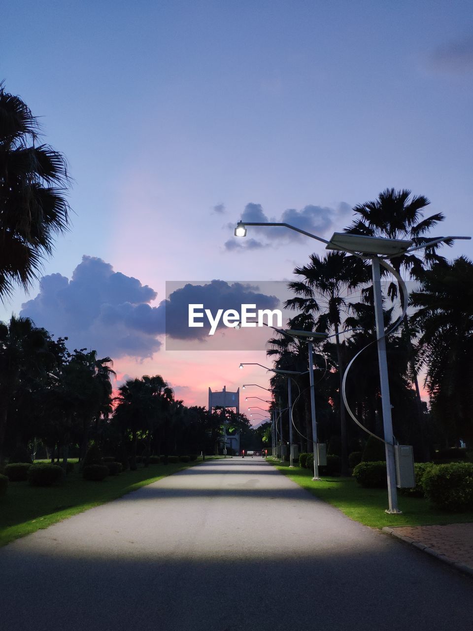 Road by palm trees against sky at sunset