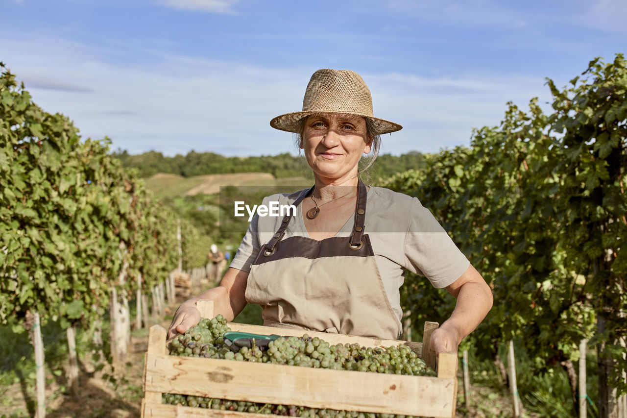 Smiling mature farmer wearing straw hat holding crate of fresh grapes in vineyard