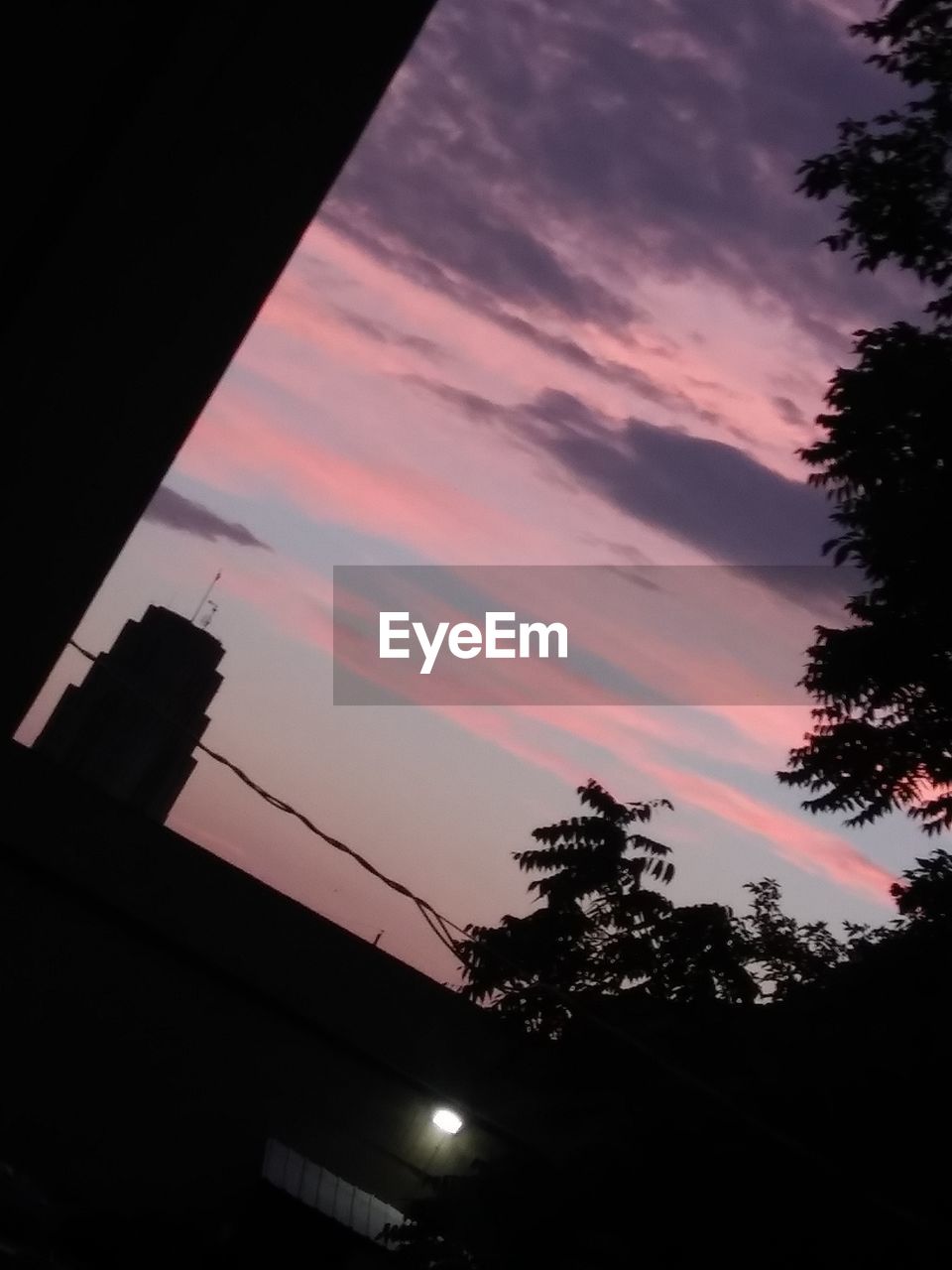 LOW ANGLE VIEW OF SILHOUETTE TREE AGAINST SKY AT SUNSET