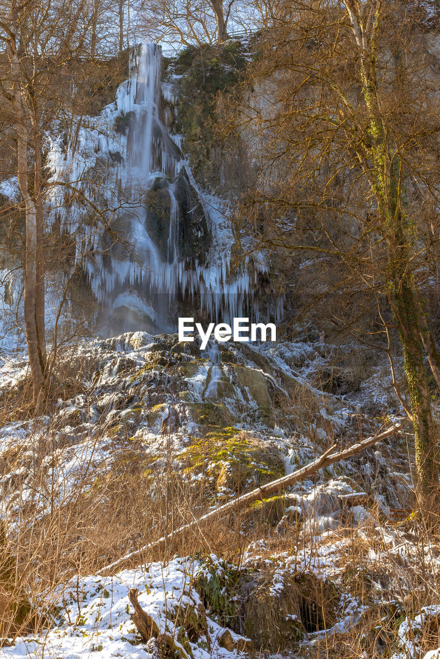 SCENIC VIEW OF RIVER IN FOREST AGAINST SKY