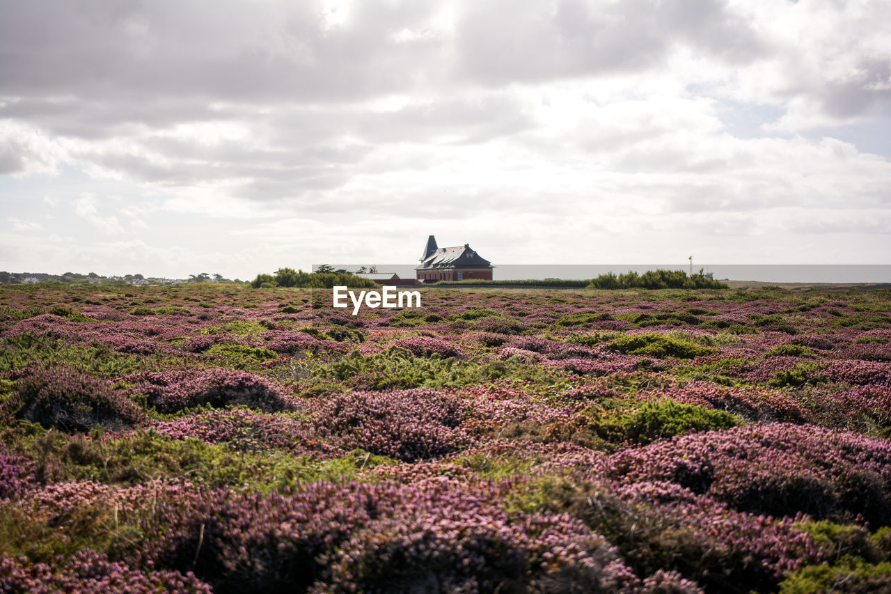 Distance view of house on field against sky