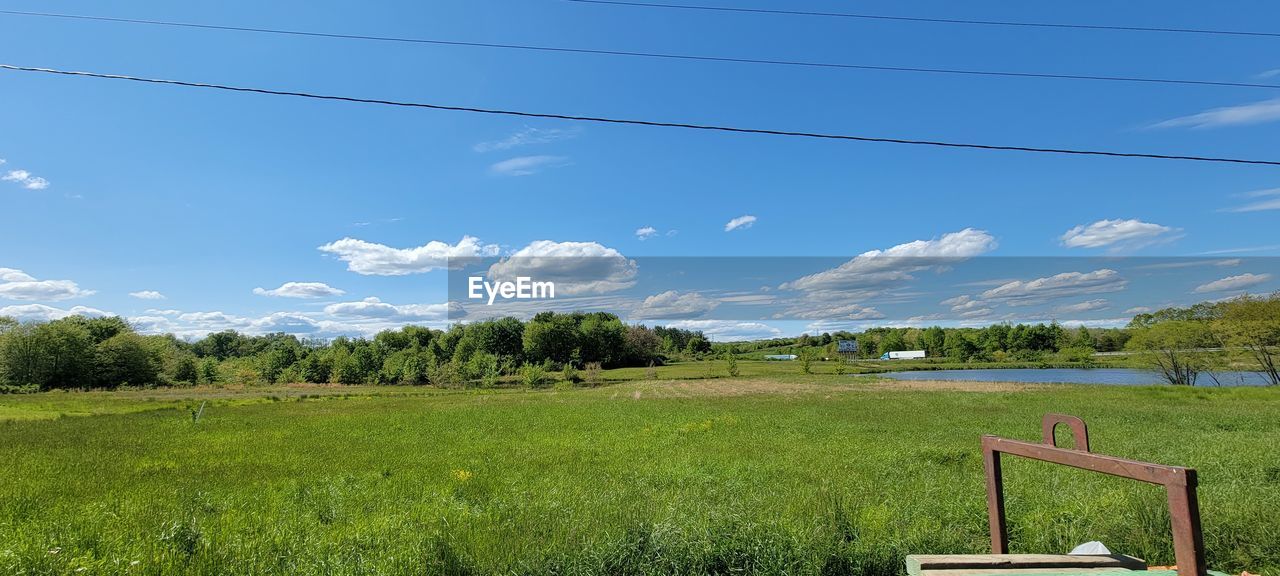 TREES ON FIELD AGAINST SKY