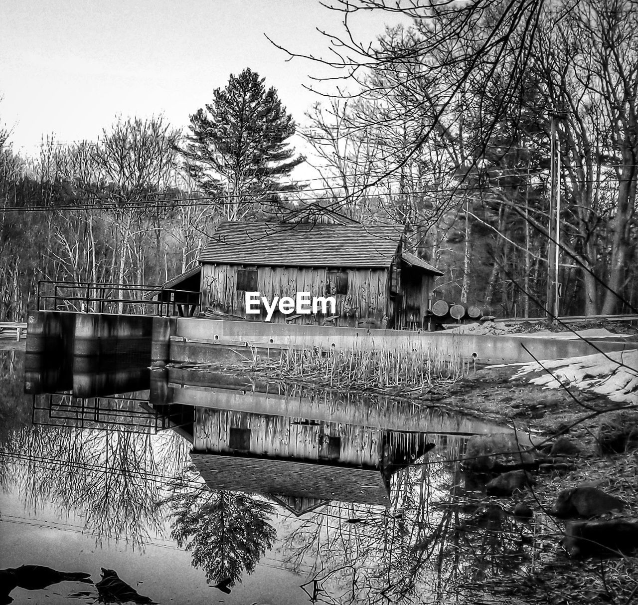 BARE TREES BY LAKE IN FOREST DURING WINTER