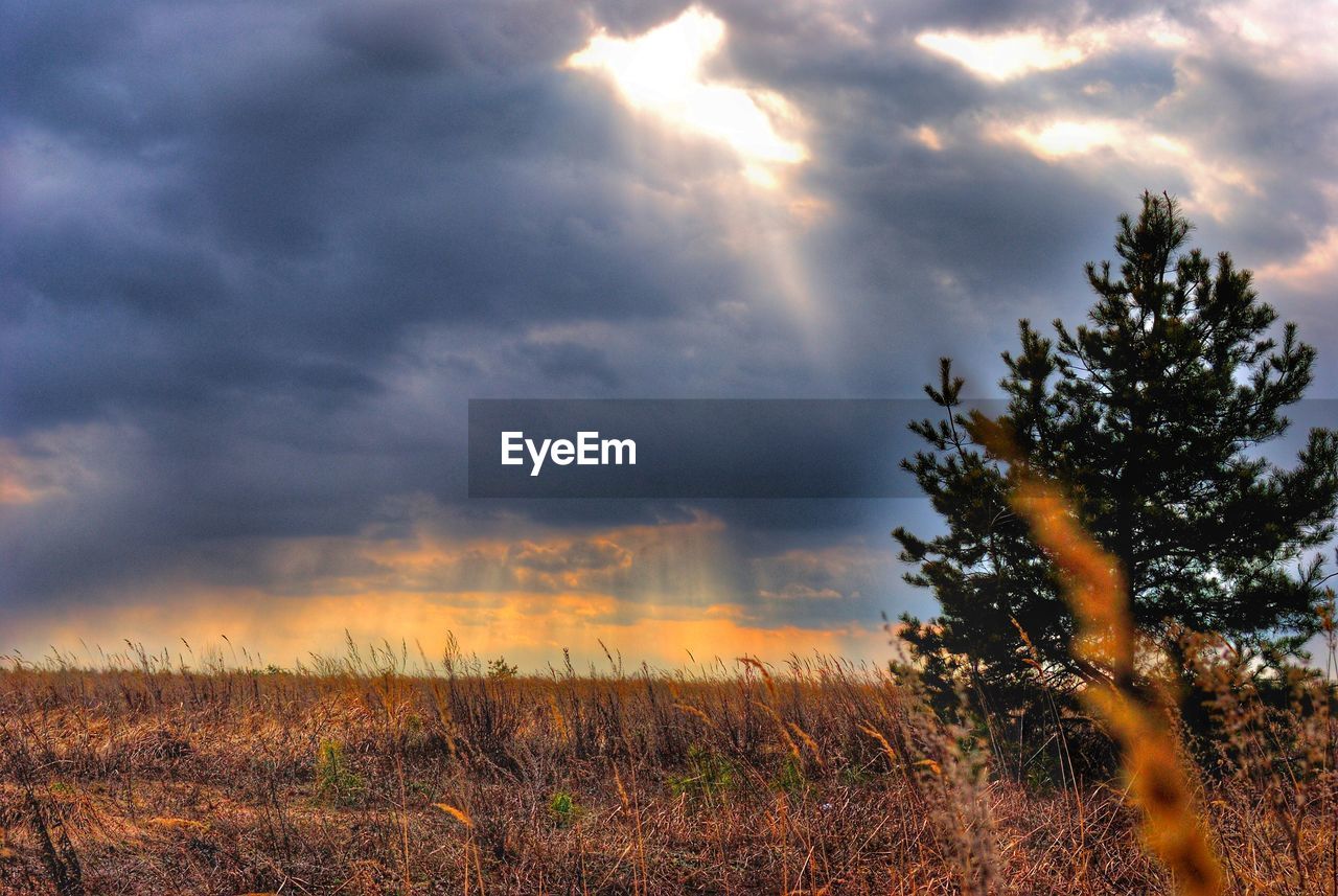 SCENIC VIEW OF LANDSCAPE AGAINST CLOUDY SKY AT SUNSET