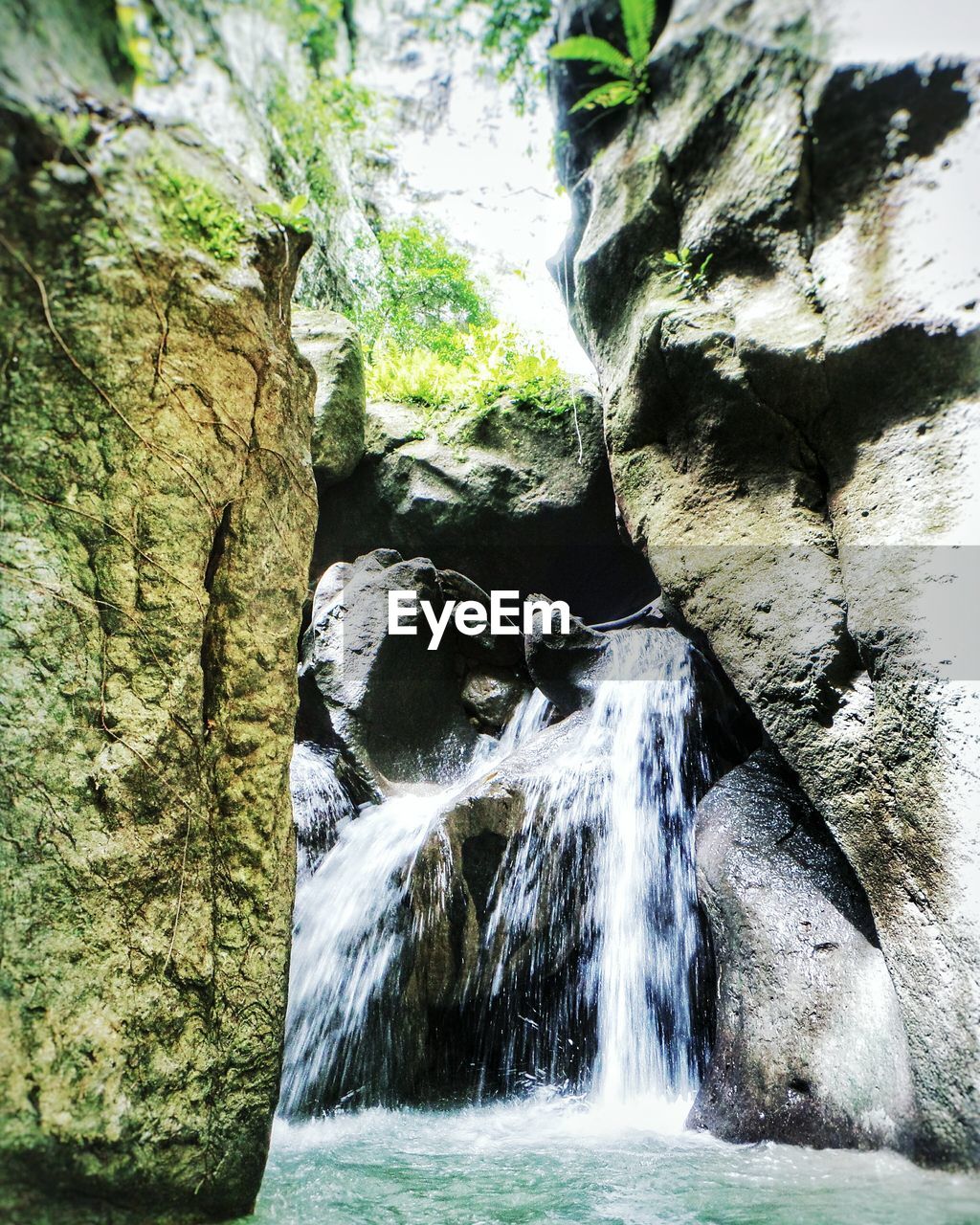 CLOSE-UP OF WATER SPLASHING ON TREES