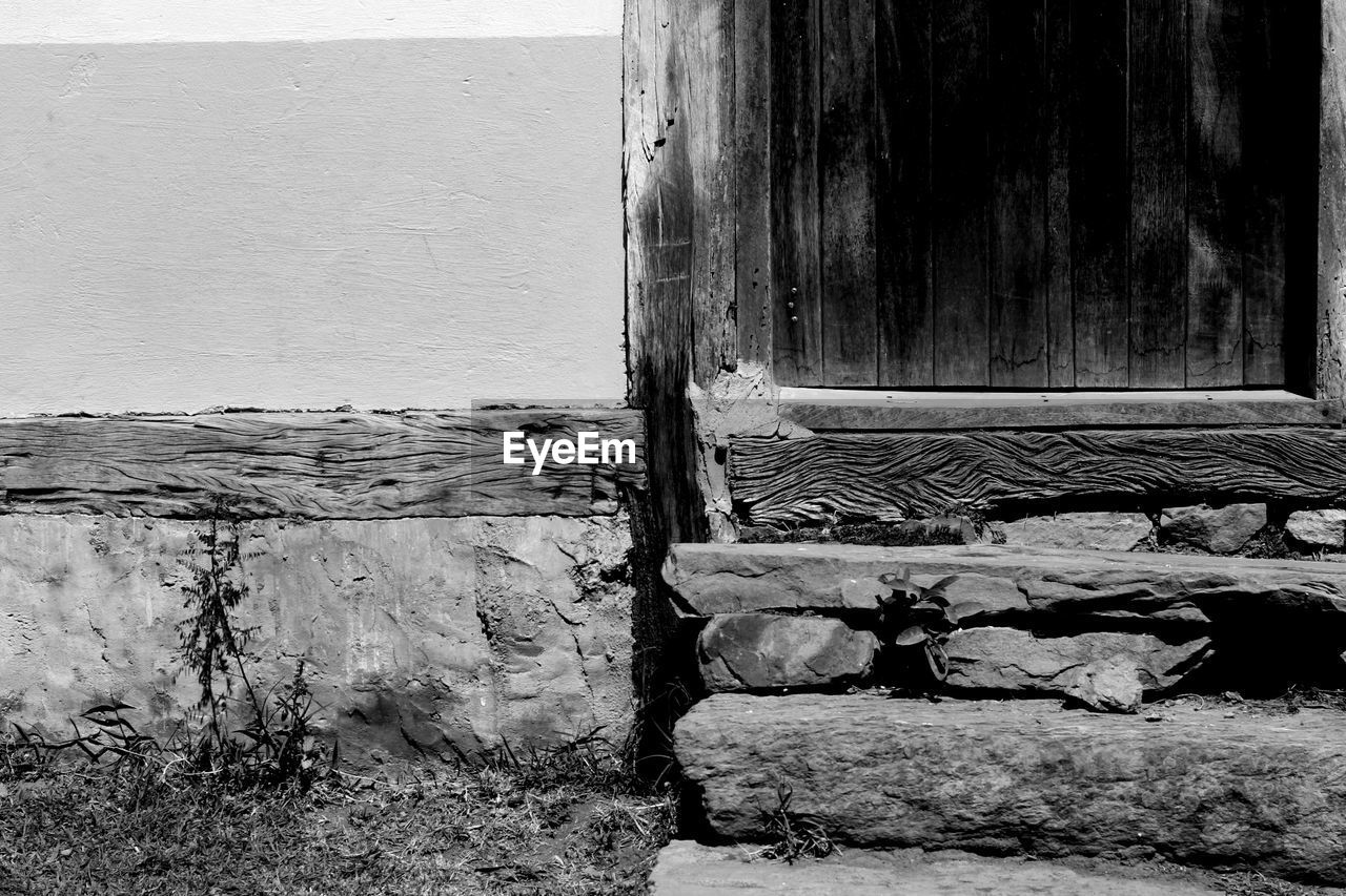 CLOSE-UP OF CAT ON WALL