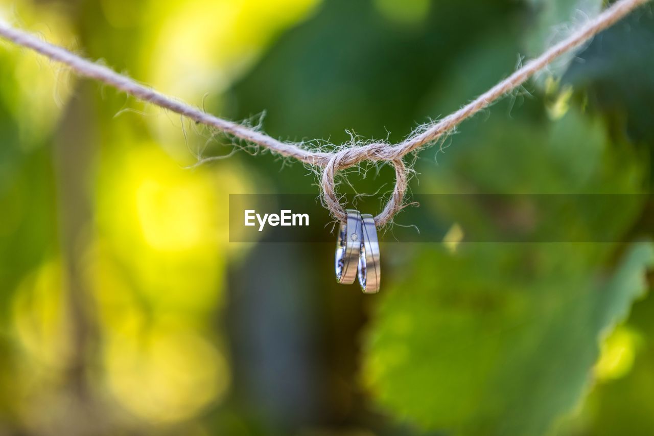 Close-up of wedding rings tied to rope