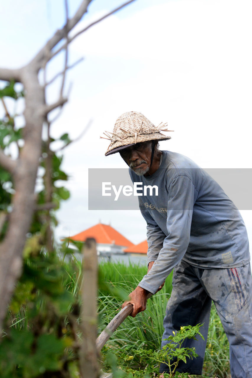 Man working at farm