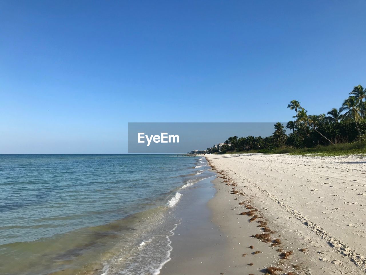 Scenic view of beach against clear blue sky