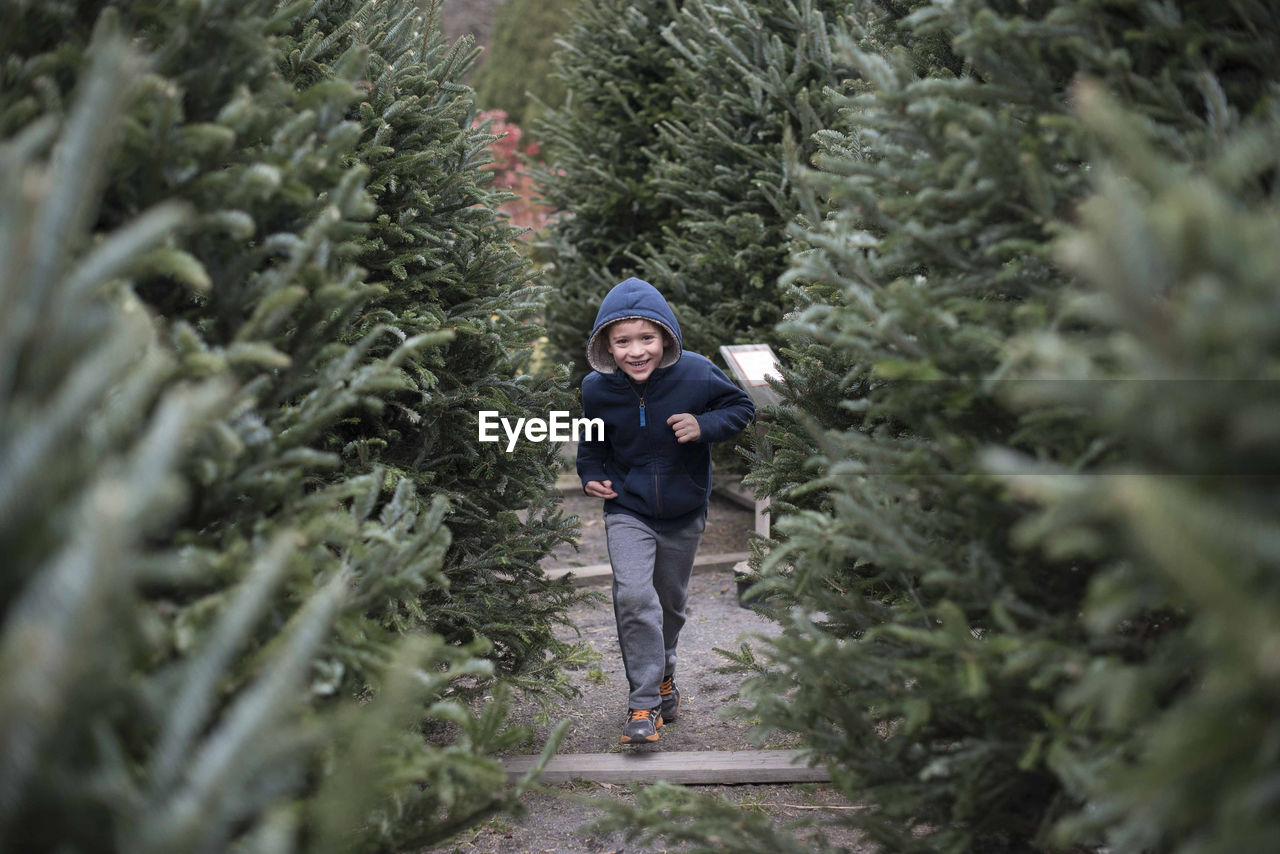 Portrait of happy boy running by pine trees in farm