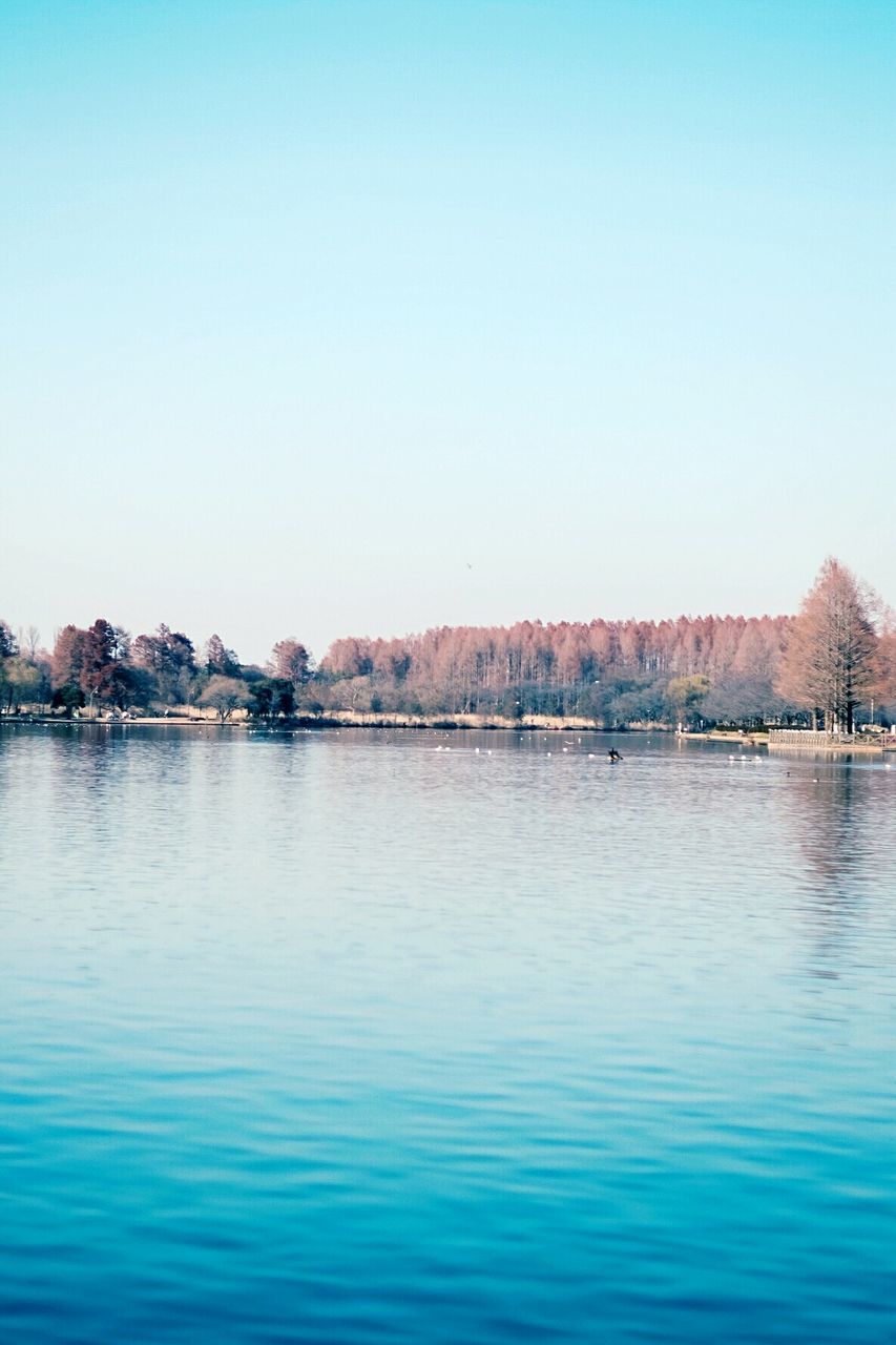 SCENIC VIEW OF RIVER AGAINST BLUE SKY