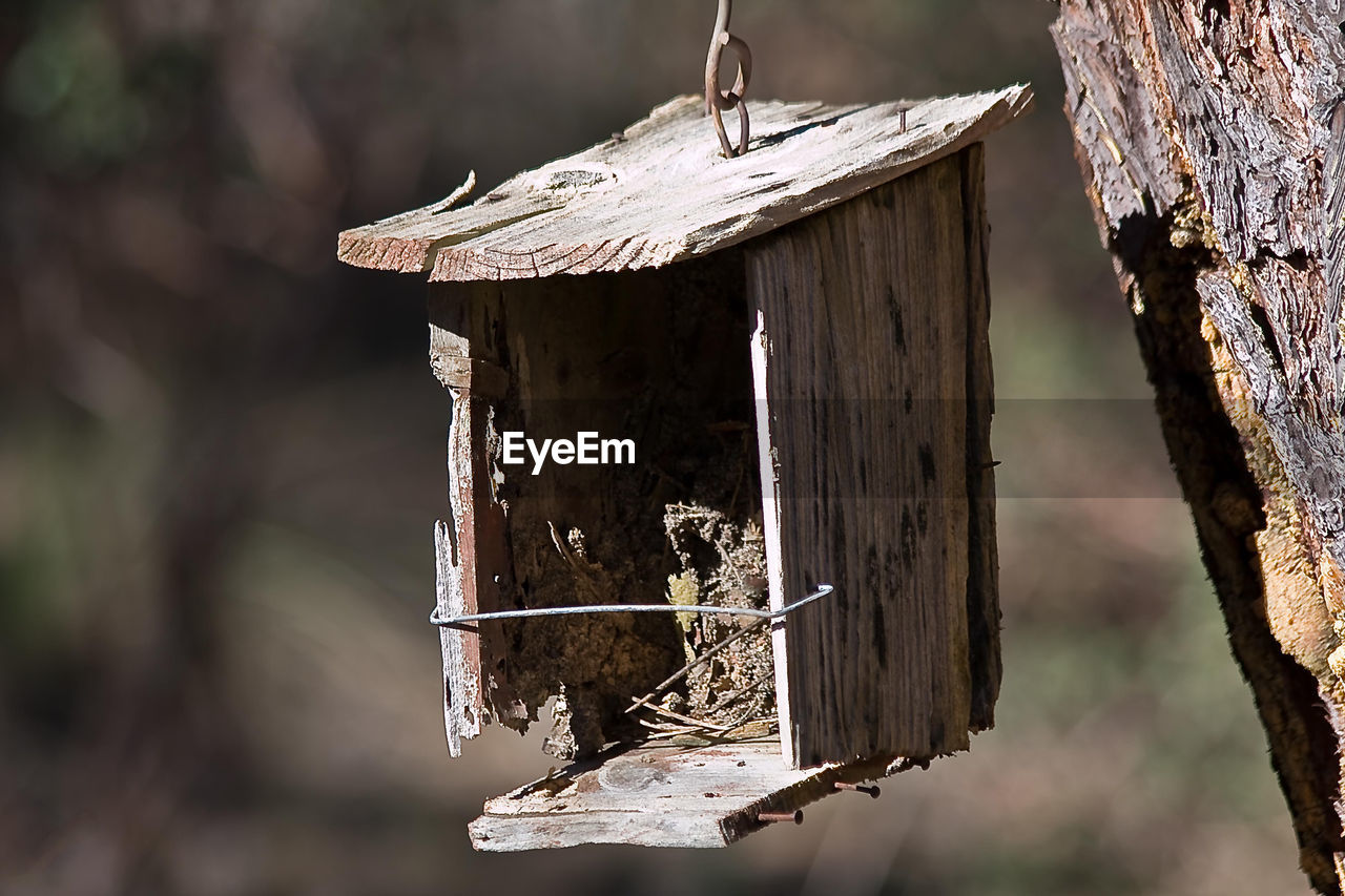 BIRDS PERCHING ON WOODEN POST