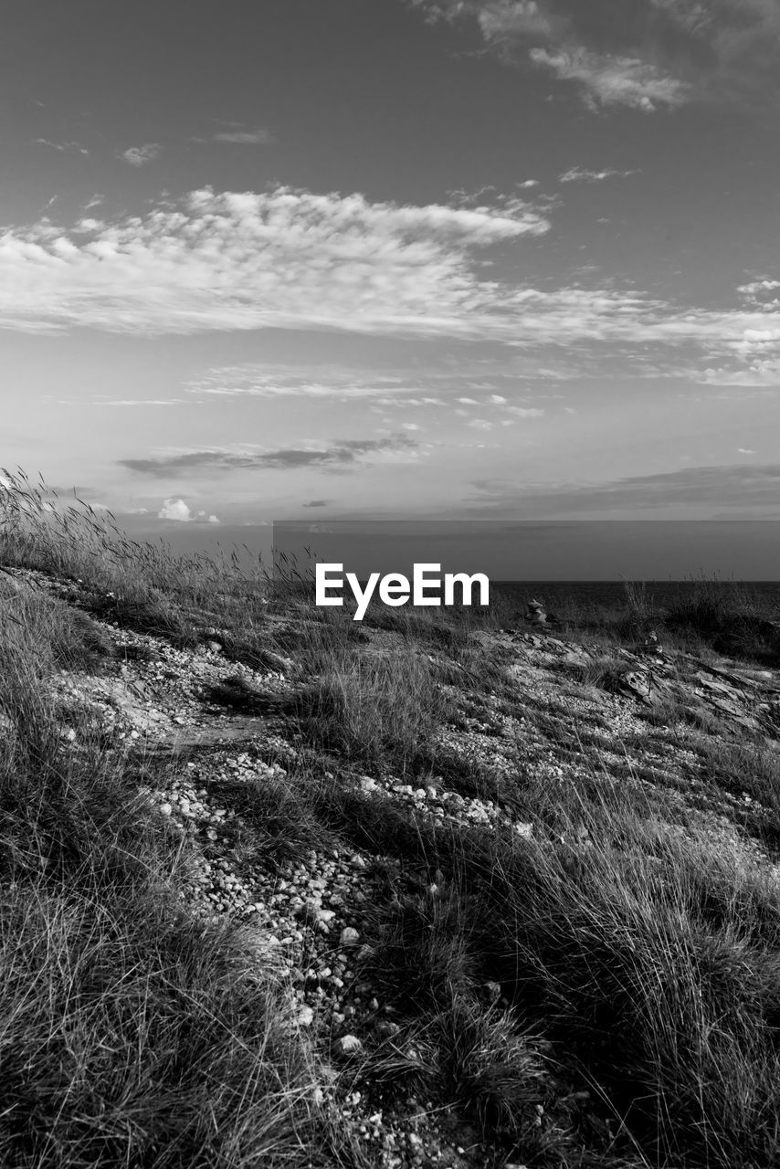 sky, environment, landscape, cloud, horizon, nature, black and white, plant, scenics - nature, land, beauty in nature, monochrome photography, tranquility, grass, monochrome, no people, tranquil scene, mountain, coast, rock, outdoors, non-urban scene, field, tree, day, sea, darkness, rural scene, growth, sunlight, horizon over land, rural area