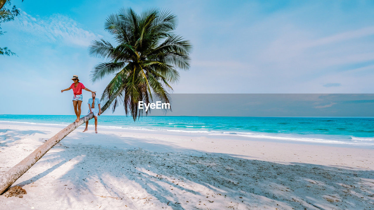 palm tree on beach against sky