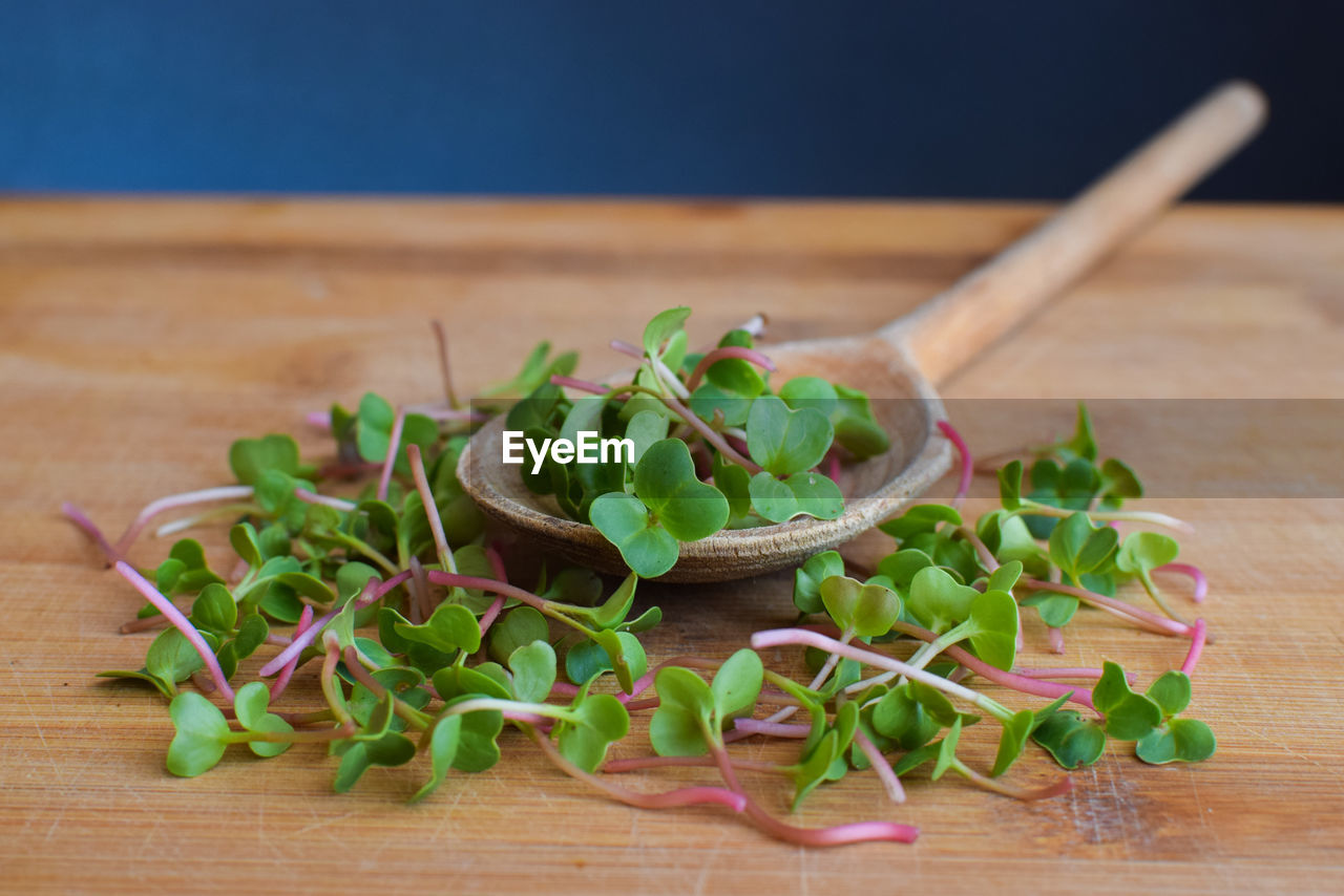 CLOSE-UP OF VEGETABLES ON TABLE