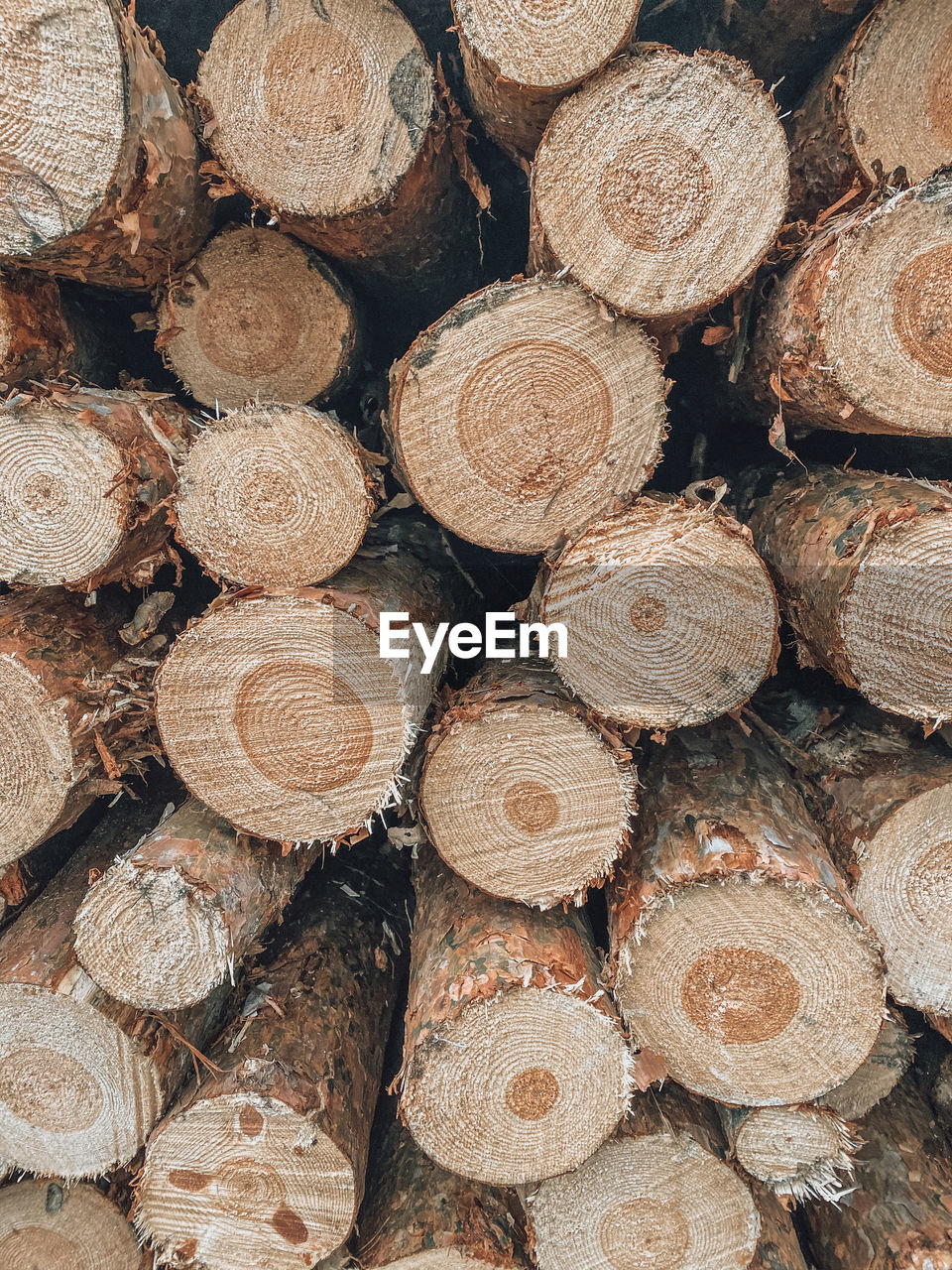 Full frame shot of logs in forest