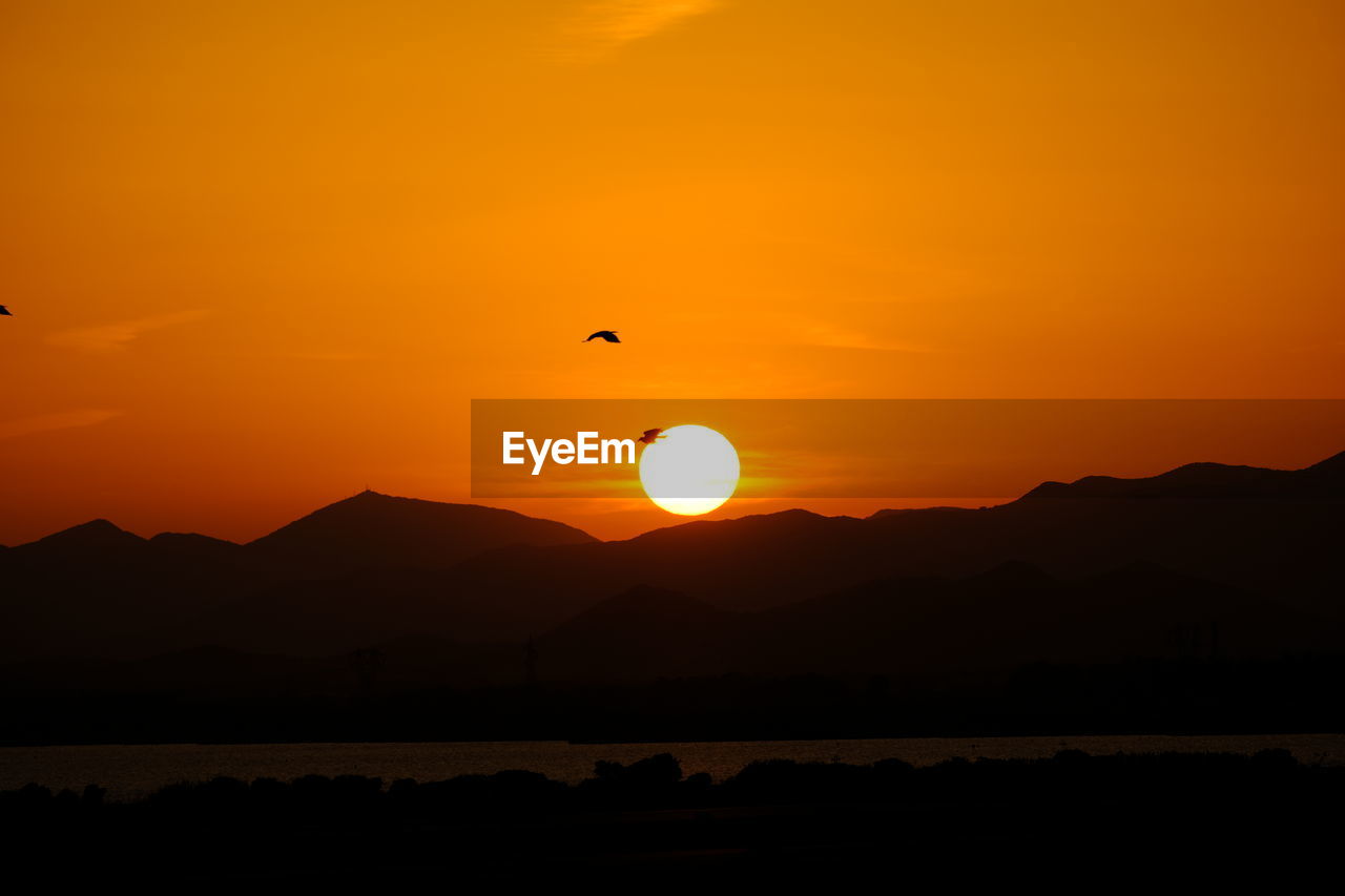 sky, sunset, mountain, silhouette, beauty in nature, scenics - nature, afterglow, nature, horizon, orange color, tranquility, tranquil scene, sun, mountain range, flying, environment, dawn, landscape, no people, animal, animal themes, water, bird, travel destinations, outdoors, animal wildlife, idyllic, sunlight, travel, dramatic sky, wildlife, non-urban scene, evening, red sky at morning, cloud, land, yellow